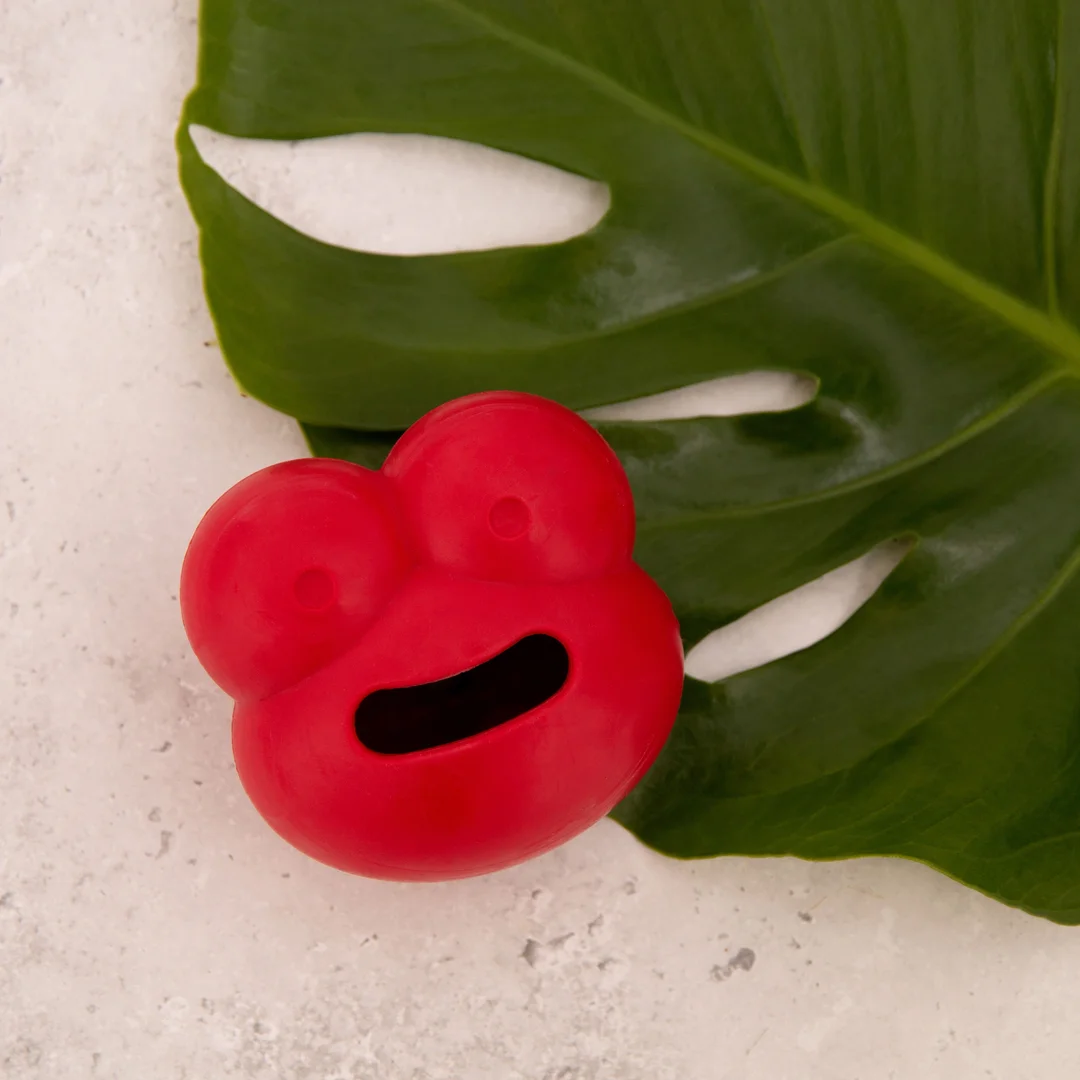 Jouets pour chiens Robert Red (Frogg)