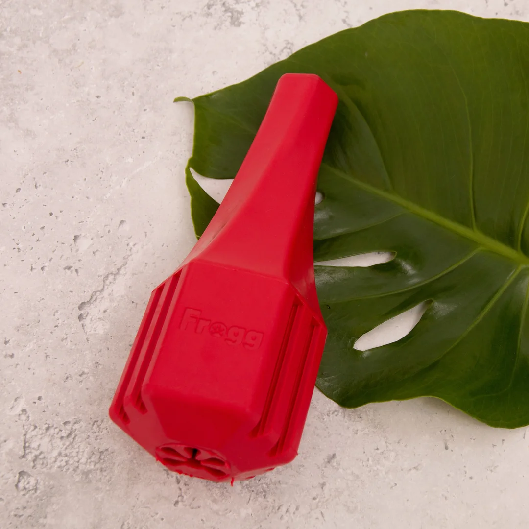 Jouet pour chien Fetch Red (Frogg)