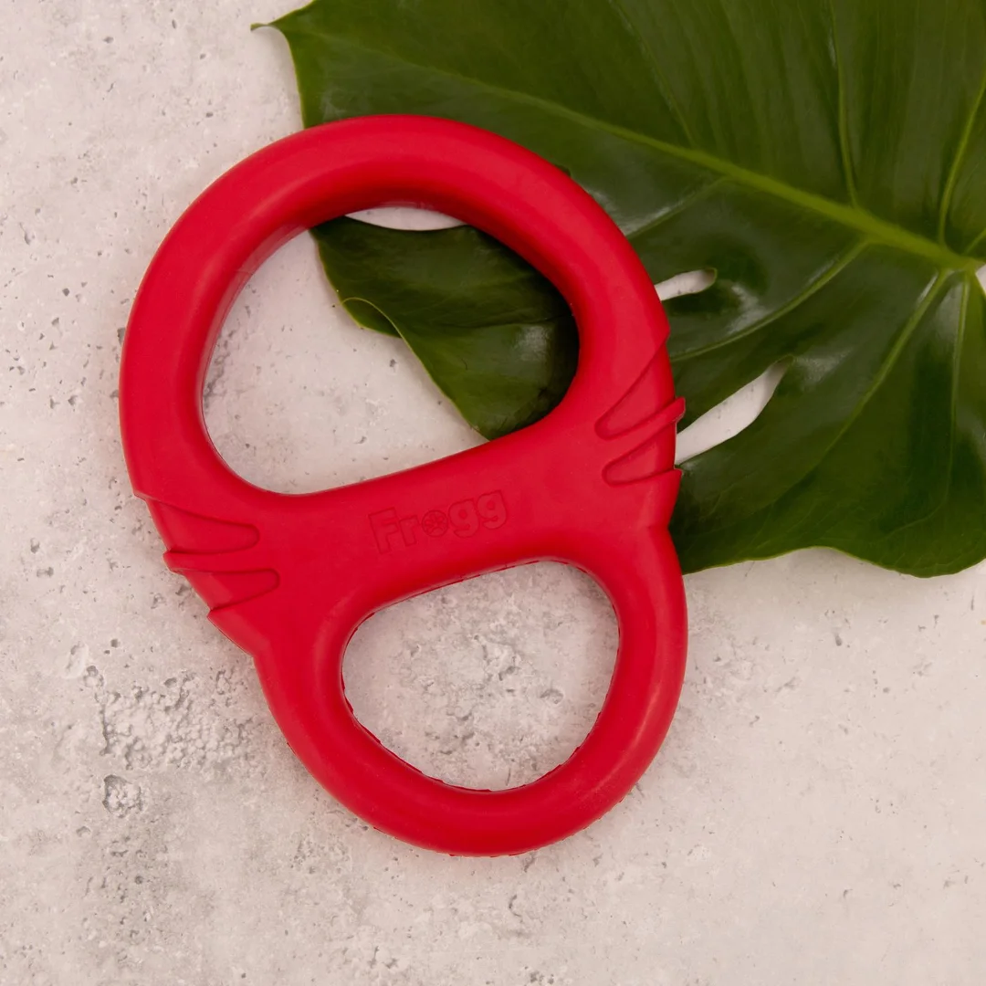 Jouet pour chien Tug Red (Frogg)