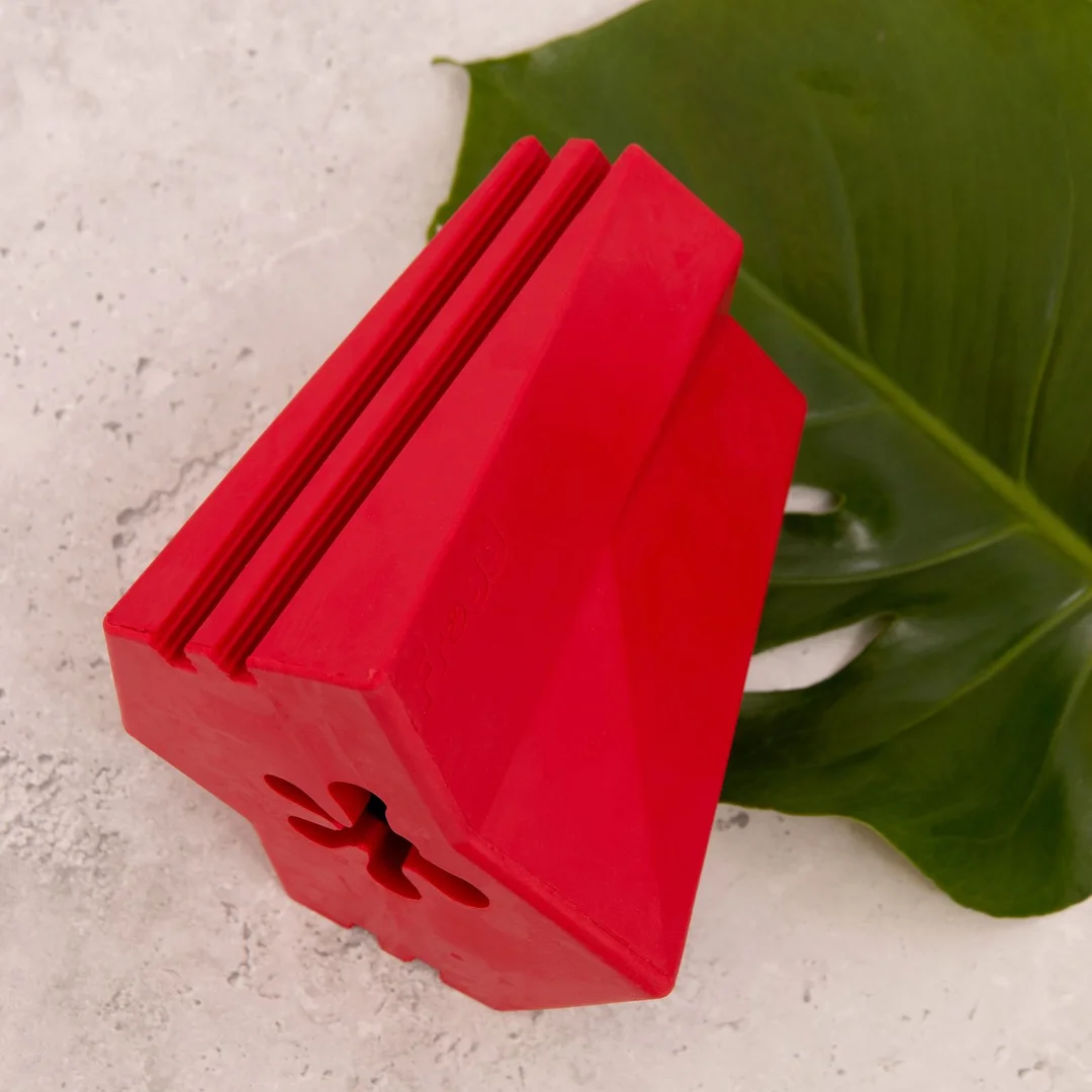 Jouet pour chiens The Brick Red (Frogg) XL