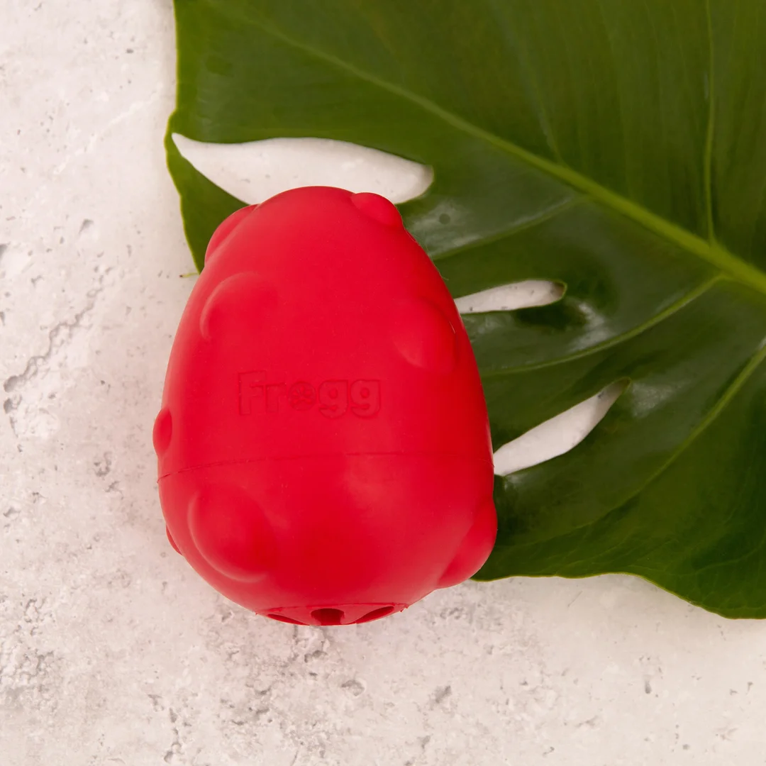 Jouet pour chien Egg Red (Frogg) M