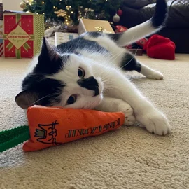 Cat Toy Carrot With Organic Catnip Orange (King Catnip)