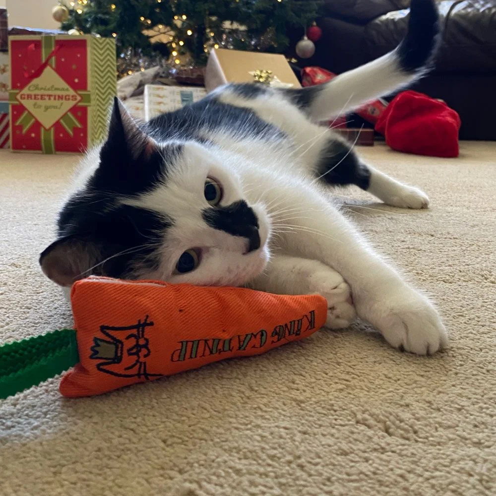 Cat Toy Carrot With Organic Catnip Orange (King Catnip)