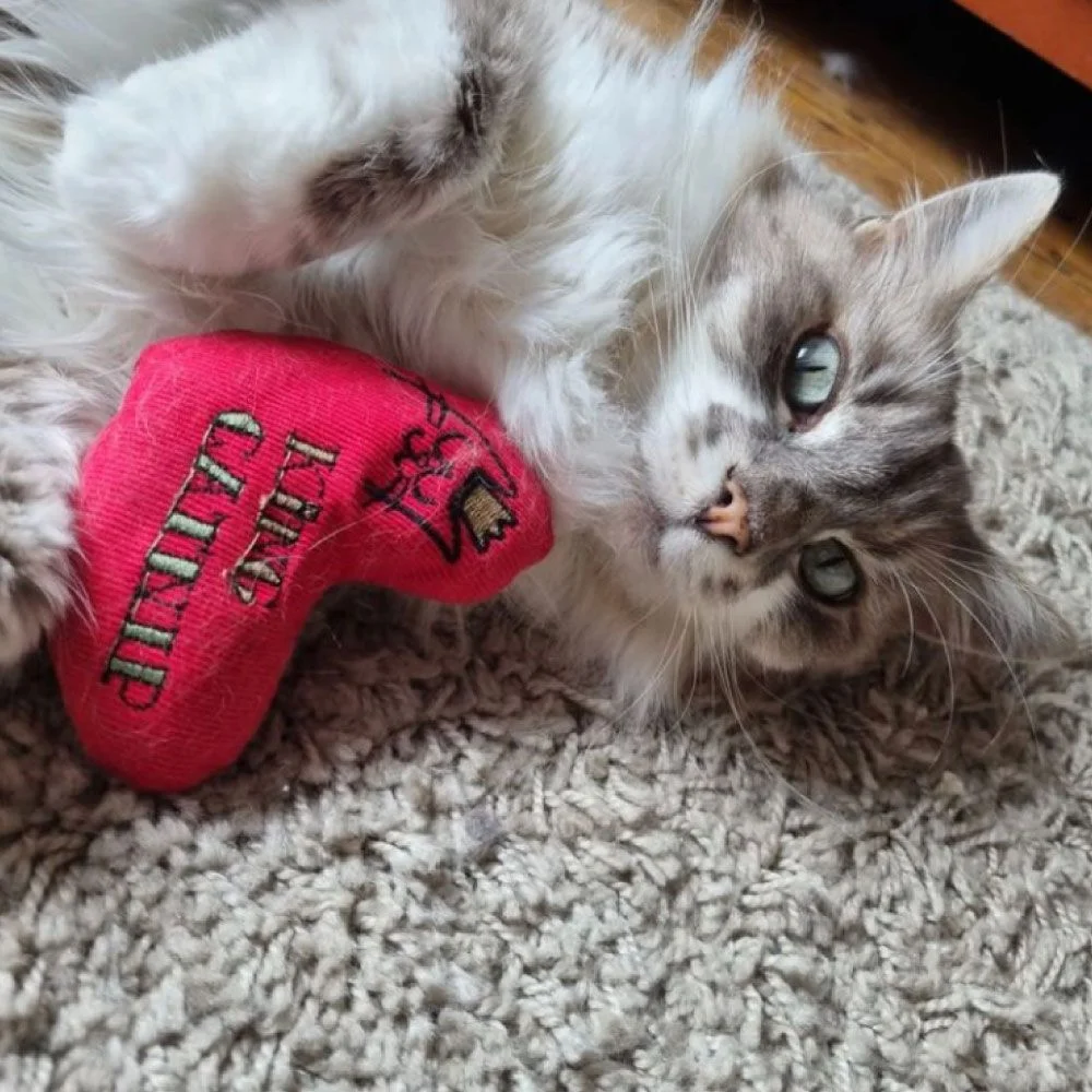 Katzenspielzeug Herz mit Bio-Katzenminze Red (King Catnip)
