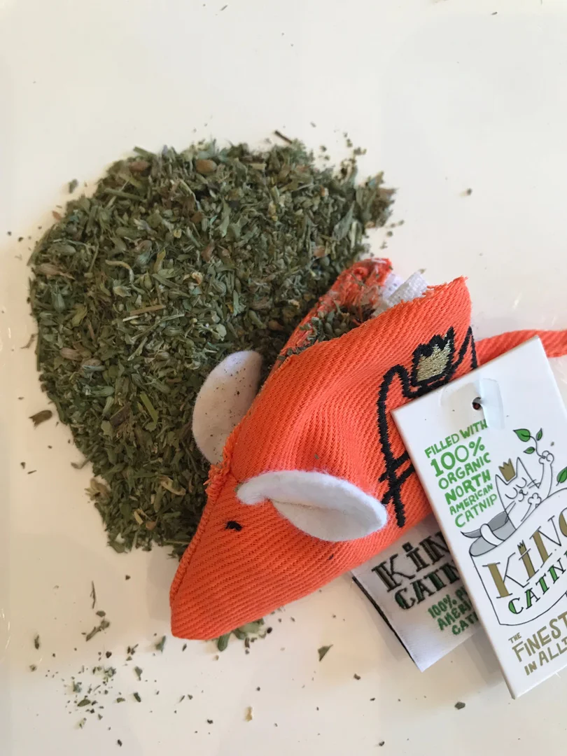 Rato de brinquedo para gatos com catnip orgânico Orange (King Catnip)
