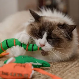 Rato de brinquedo para gatos com catnip orgânico Orange (King Catnip)