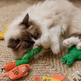 Rato de brinquedo para gatos com catnip orgânico Orange (King Catnip)
