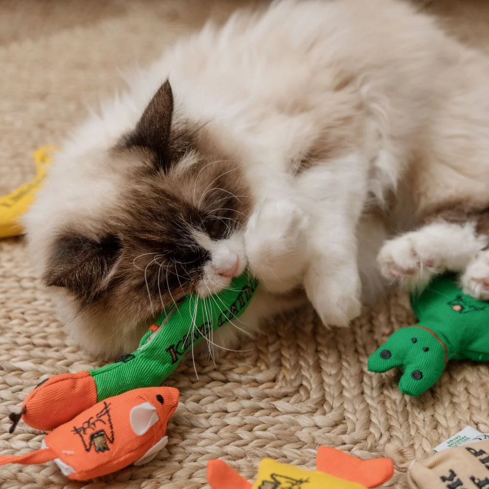 Rato de brinquedo para gatos com catnip orgânico Orange (King Catnip)