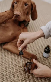 Huile de soin pour pattes (WAP DogCare)