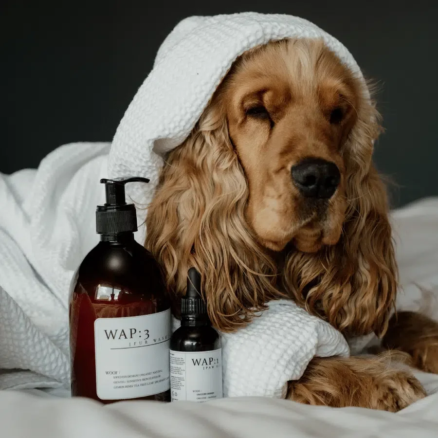 Shampooing pour chiens Fur Wash (WAP DogCare) 500ml