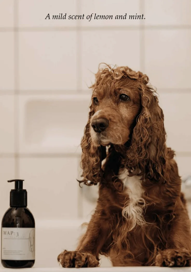 Shampooing pour chiens Fur Wash (WAP DogCare) 500ml