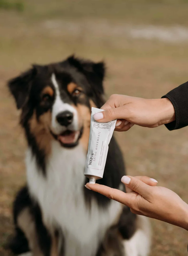 Pomada de zinc (WAP DogCare)