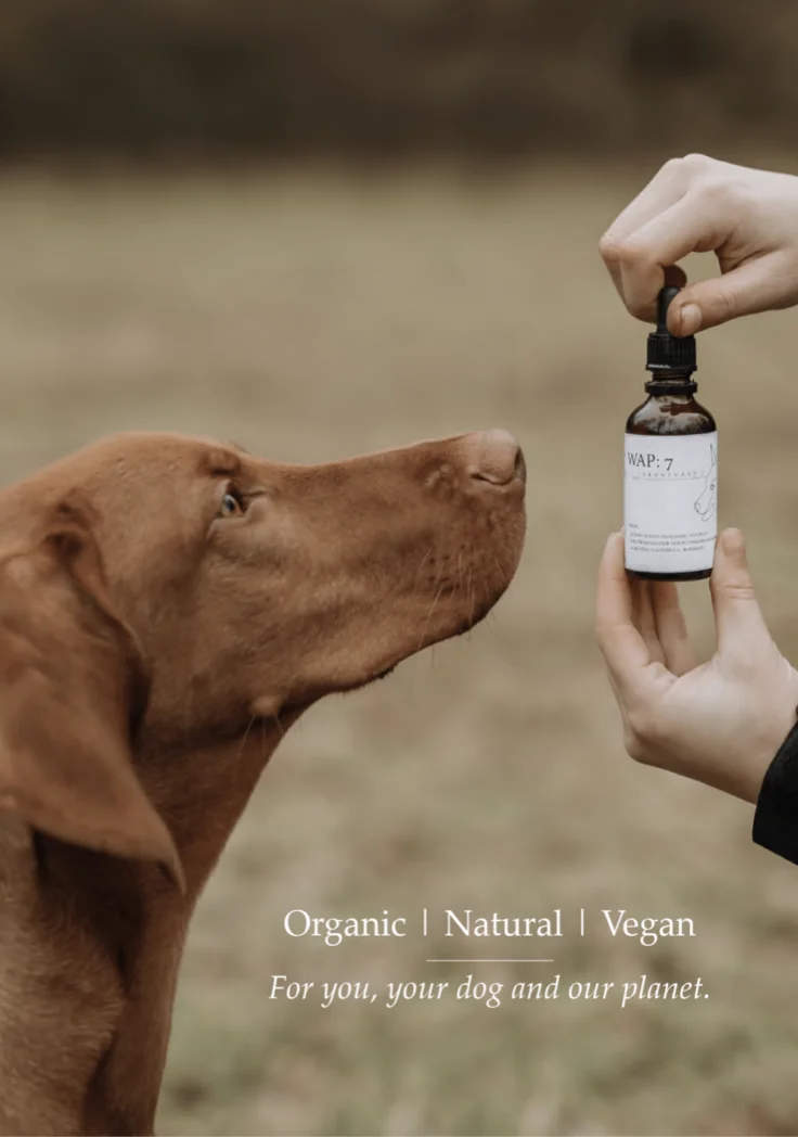 Ear Wash (WAP DogCare)