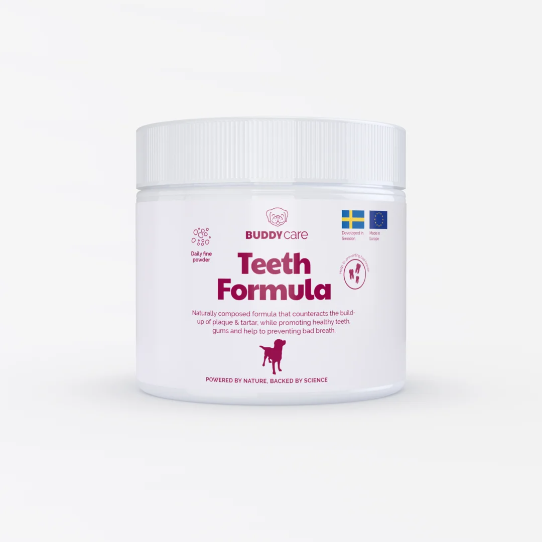 Pó para tratamento dentário (Buddy Care)