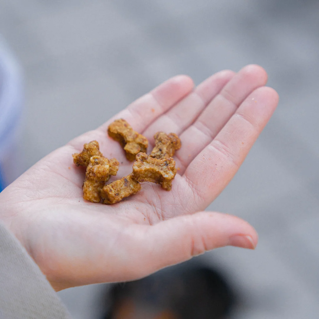 Snack d'entraînement cerf (Buddy Pet Food)