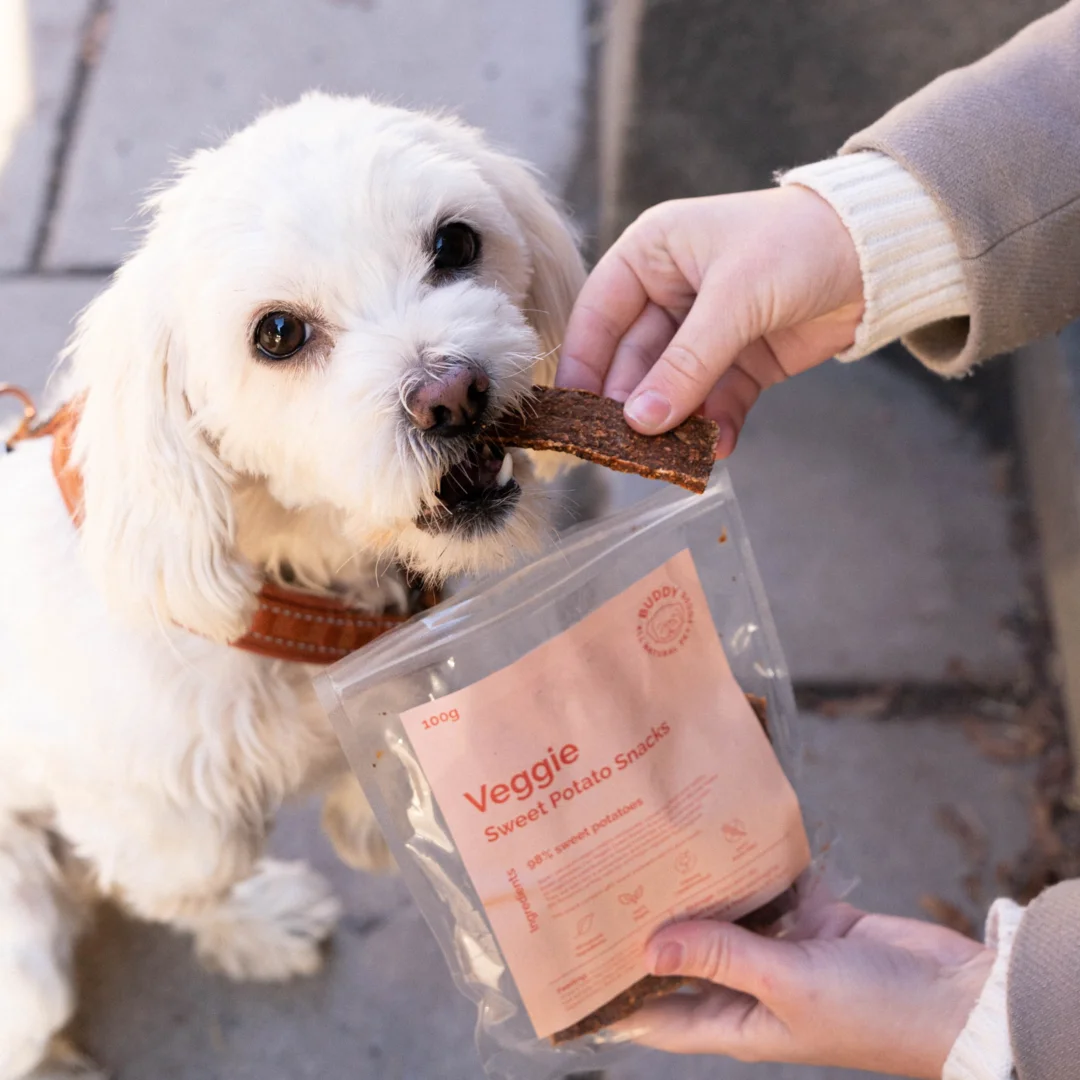 Snack para cães Veggie (Buddy Pet Food)