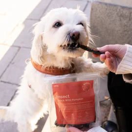 Dog Snack with Insects and Pumpkin (Buddy Pet Food)