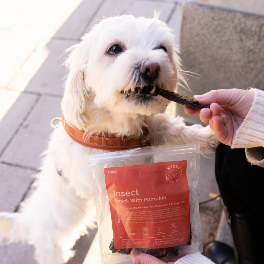 Dog Snack with Insects and Pumpkin (Buddy Pet Food)