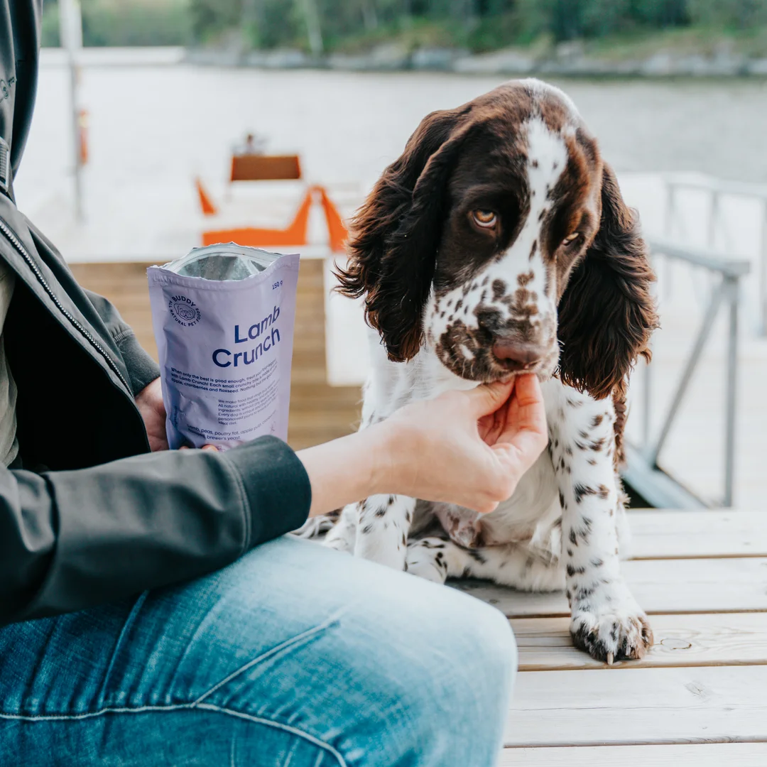 Guloseimas para cães com borrego e arandos (Buddy Pet Food)