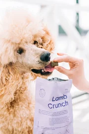 Guloseimas para cães com borrego e arandos (Buddy Pet Food)
