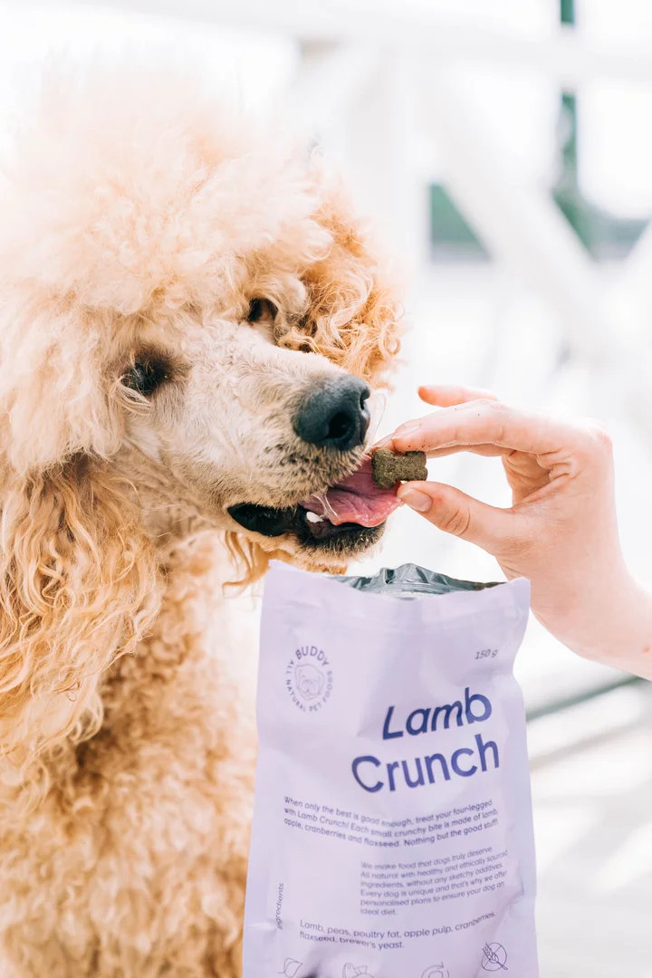 Guloseimas para cães com borrego e arandos (Buddy Pet Food)