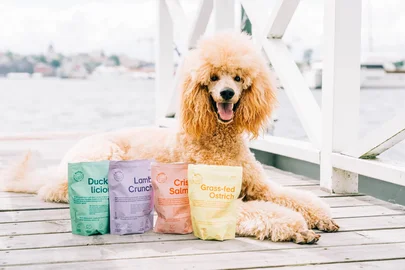 Guloseimas para cães Duckalicious (Buddy Pet Food)