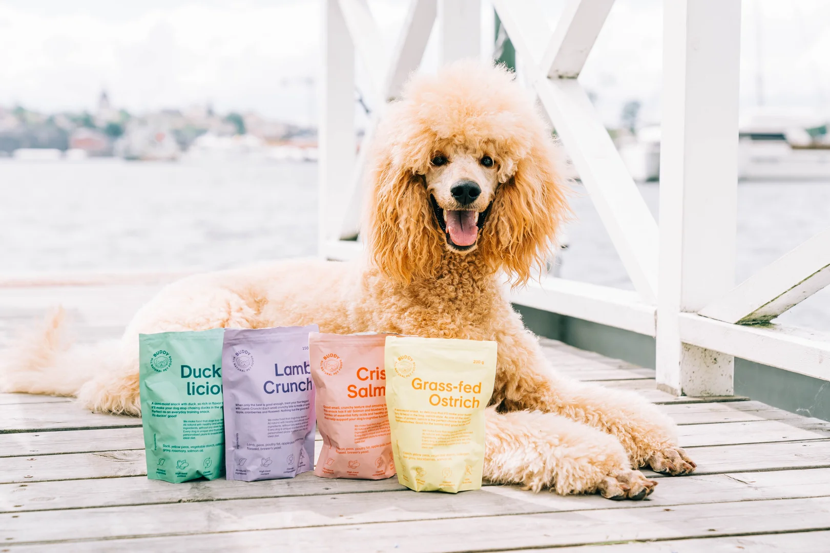 Guloseimas para cães Duckalicious (Buddy Pet Food)