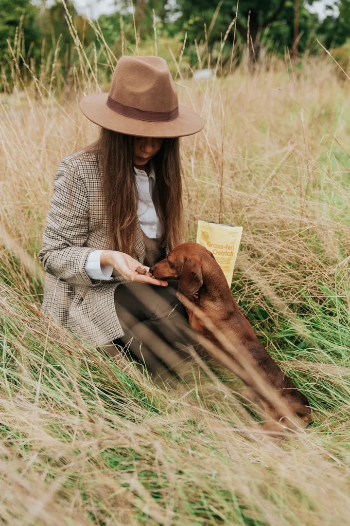 Guloseimas para cães com avestruz e amoras (Buddy Pet Food)