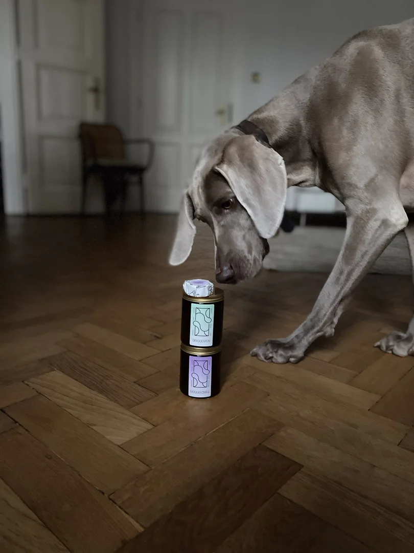 Bougie parfumée Doggo Chill amie des chiens (Flamqa) 180ml